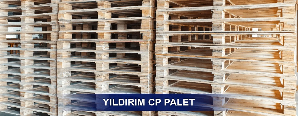 Yıldırım Standart Tipler